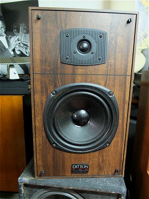 Celestion ditton 2 hot sale